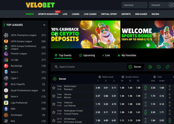 velobet bookmaker